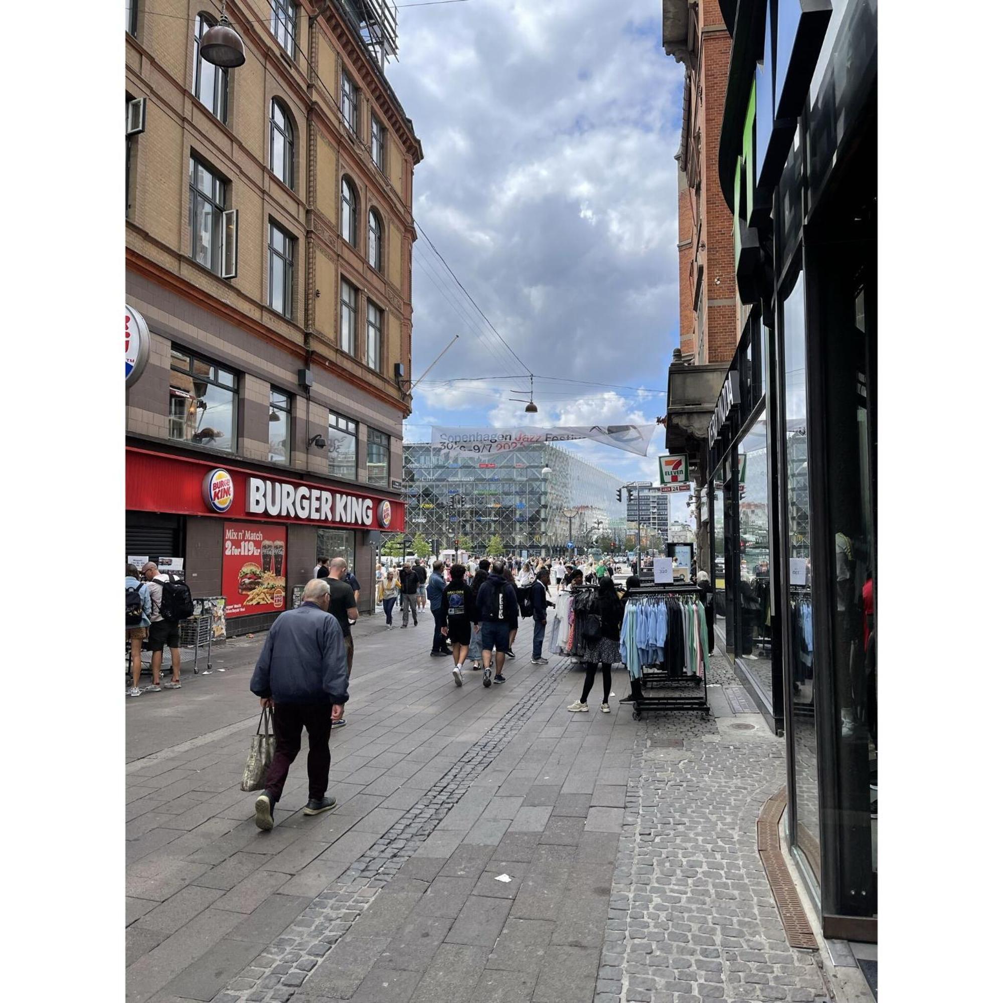 Apartmentincopenhagen Apartment 1555 Ngoại thất bức ảnh